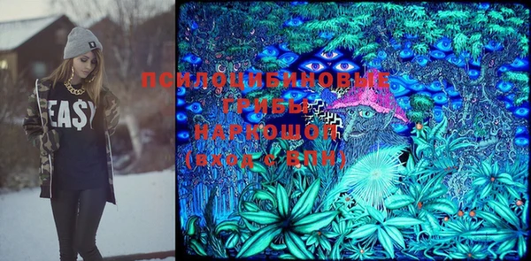 прущая мука Шадринск