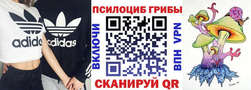 где продают наркотики  Урюпинск  omg tor  Галлюциногенные грибы прущие грибы 