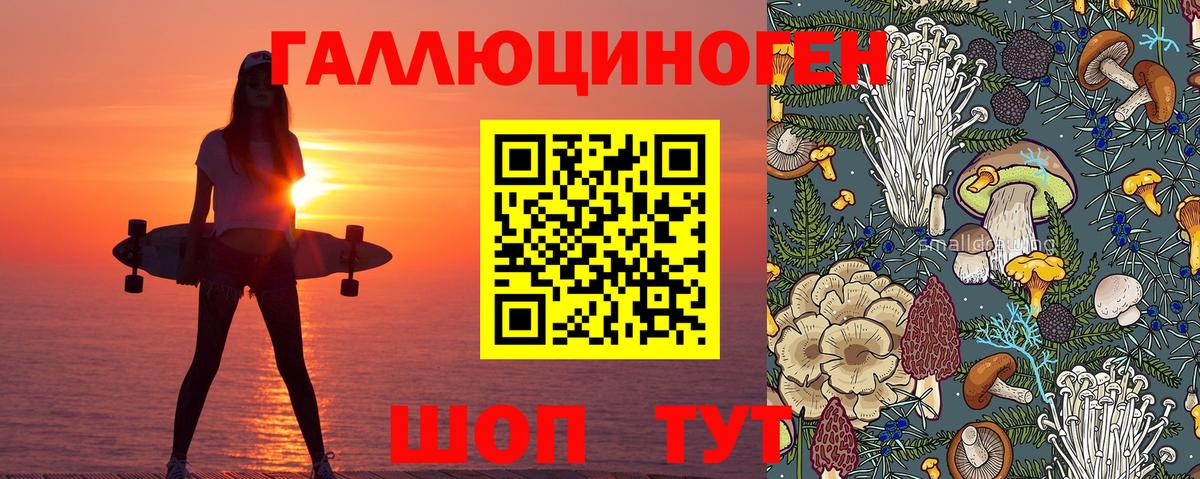 Галлюциногенные грибы Magic Shrooms  Вход с VPN  Урюпинск  Галлюциногенные грибы GOLDEN TEACHER 