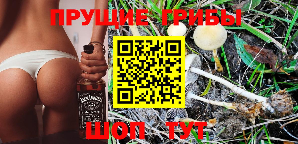 Псилоцибиновые грибы Cubensis Урюпинск